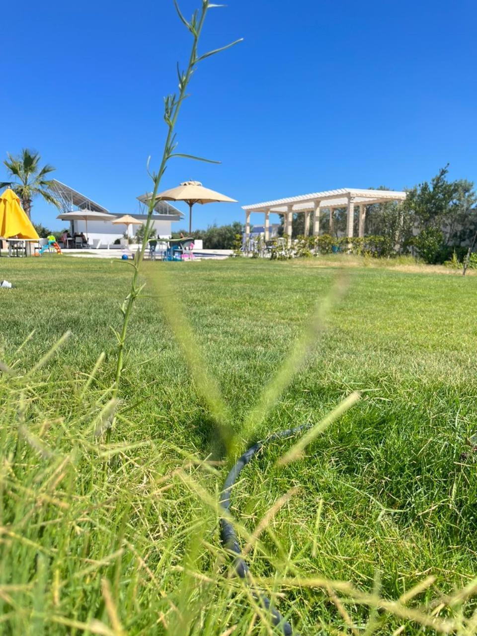 Villa Olivia, Yasmine Hammamet, Bouficha Exteriör bild