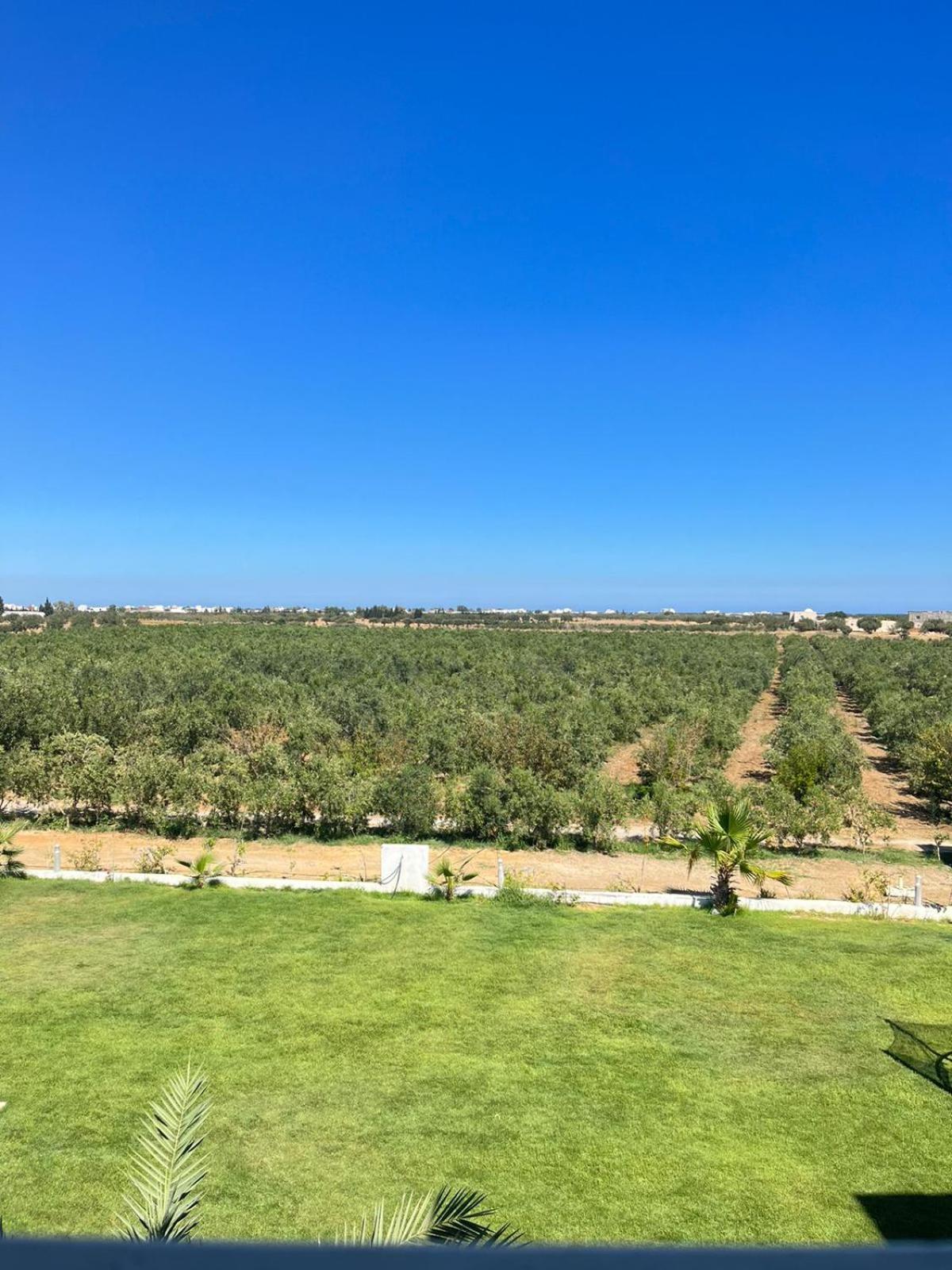Villa Olivia, Yasmine Hammamet, Bouficha Exteriör bild