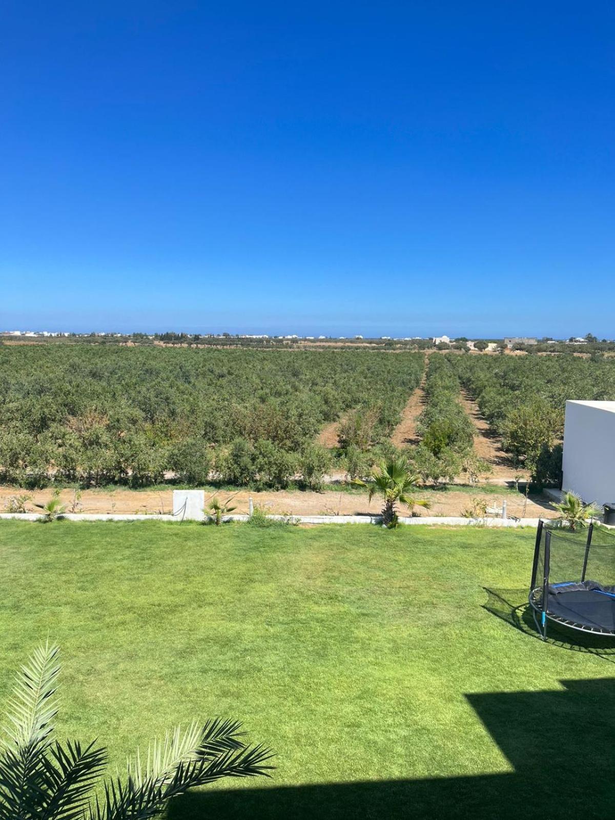 Villa Olivia, Yasmine Hammamet, Bouficha Exteriör bild